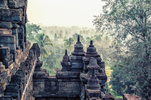 Image displaying old rock structures against a forest backdrop